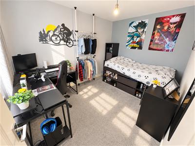 Picture 11
